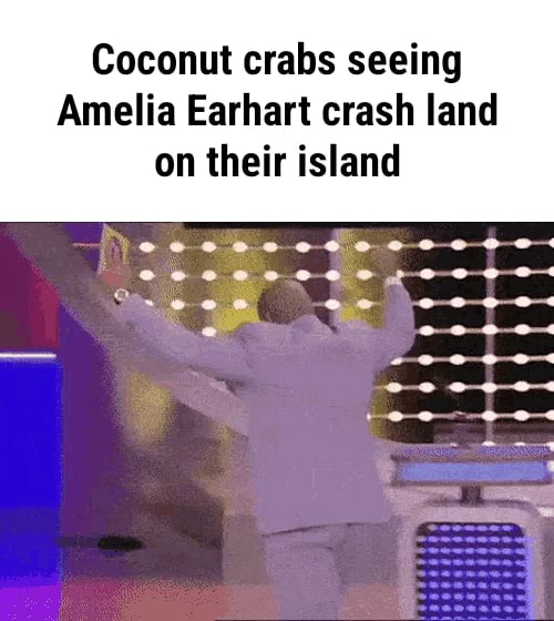 Coconut crabs seeing Amelia Earhart crash land on their island - )