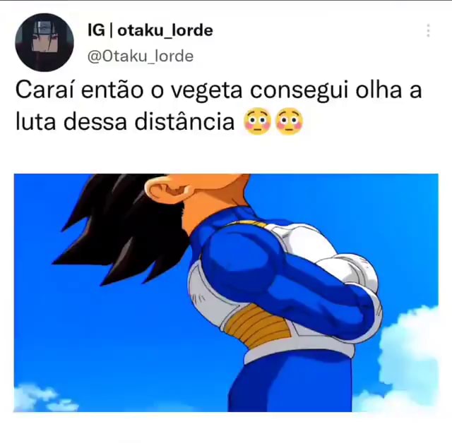 Ig I Otaku Lorde Otaku Lorde Caraí Então O Vegeta Consegui Olha A Luta Dessa Distância Ifunny 2226