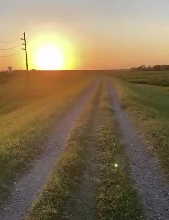 Playboi Carti Location iFunny