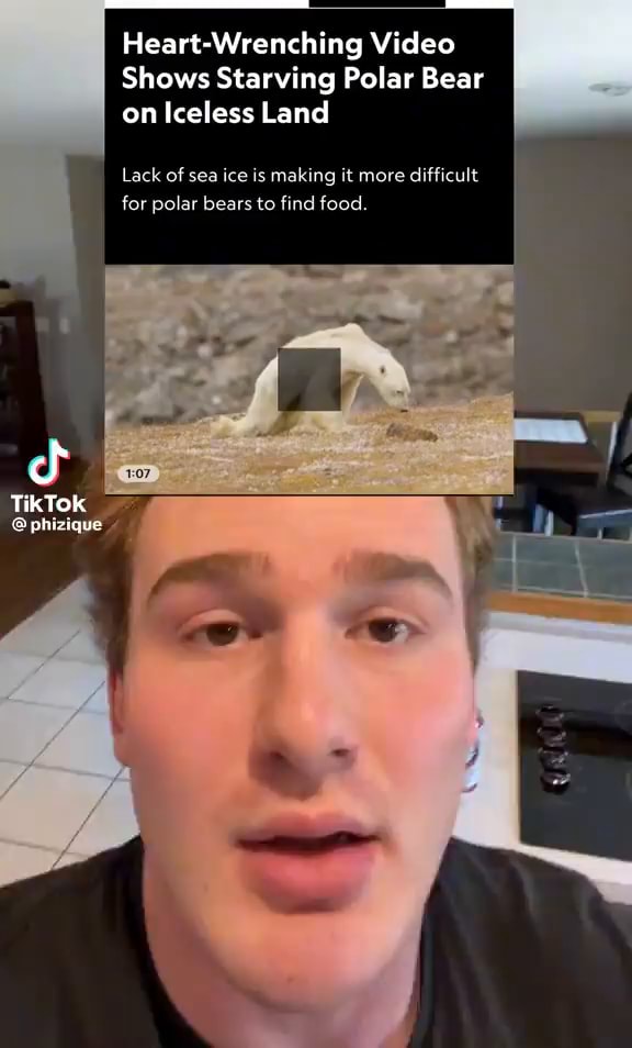 HeartWrenching Video Shows Starving Polar Bear on Iceless Land Lack of