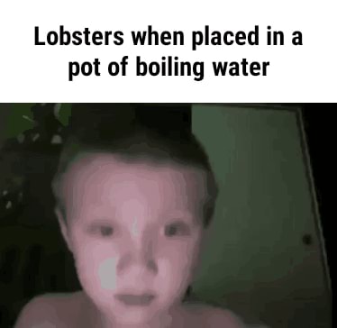 Lobster in boiling water