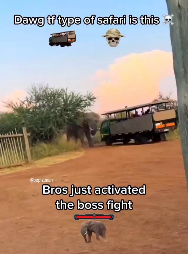 Dawg tf type of safari is this * Bros just activated the boss fight ...