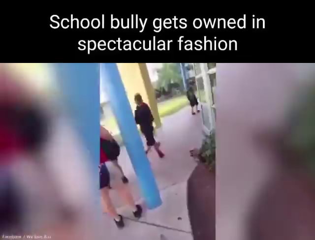 School bully gets owned in spectacular fashion - iFunny