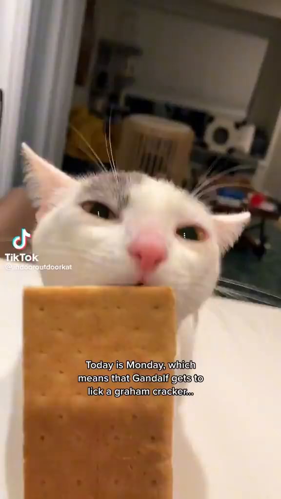 Today is Monday. which) means that Gandalf getsttoy lick a graham