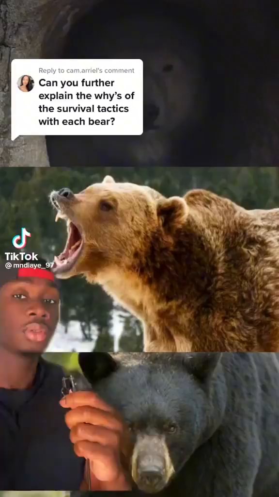 The Bear Rhyme Can you further explain the why's of the survival