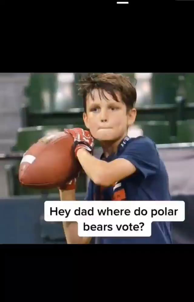 Hey dad where do polar i bears vote ifunny
