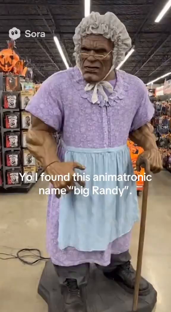 Yo I found this animatronic name 