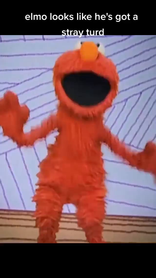 Elmo looks like he's got a stray turd - iFunny