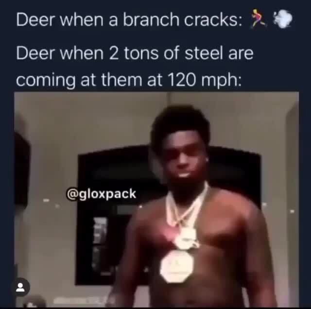 Deer When A Branch Cracks Deer When 2 Tons Of Steel Are Coming At Them At 120 Mph Ifunny 