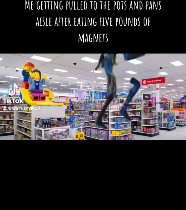 ME GETTING PULLED 10 THE POTS AND PANS AISLE AFTER EATING FIVE POUNDS