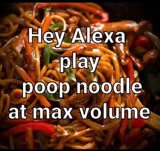 Hey Alexa play poop noodle at max volume - iFunny