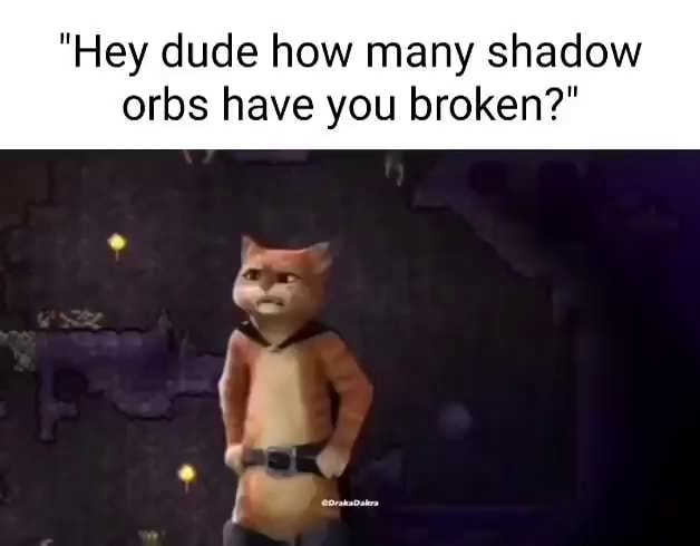 Hey Dude How Many Shadow Orbs Have You Broken Ifunny