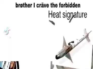 Brother I crave the forbidden Heat Signature - iFunny