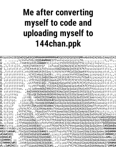 Me after converting myself to code and uploading myself to 144chan.ppk - iFunny