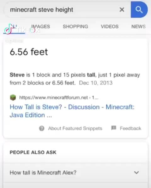 minecraft steve height