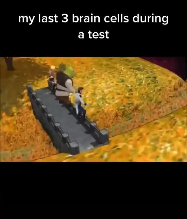 My last 3 brain cells during a test - iFunny