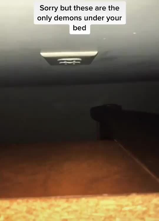 Sorry but these are the only demons under your bed iFunny