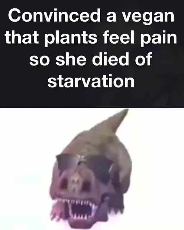 Convinced a vegan that plants feel pain so she died of starvation iFunny