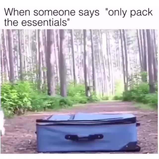 When someone says "only pack the essentials" iFunny