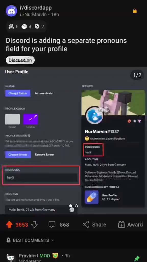 Discord is adding a separate pronouns field for your profile User ...