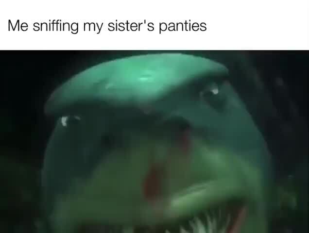 Me sniffing my sister's panties - iFunny