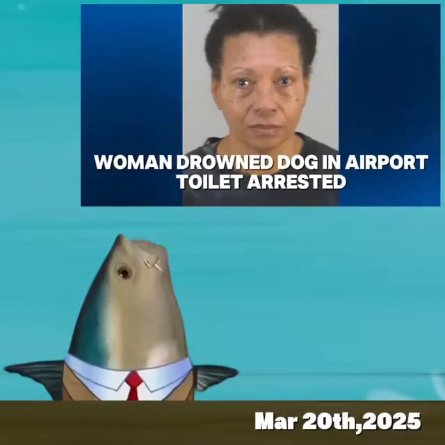 WOMAN DROWNED DOG IN AIRPORT TOILET ARRESTED Mar 20th.2025 - iFunny