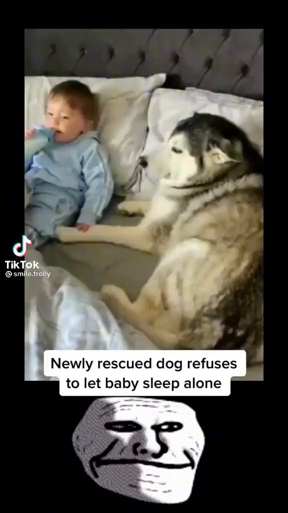 TikTok Newly Rescued Dog Refuses To Let Baby Sleep Alone