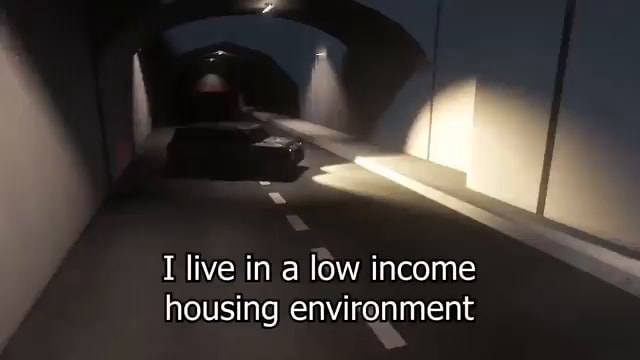 i-live-in-a-low-income-housing-environment-ifunny