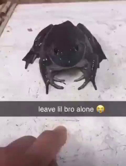 Leave Lil Bro Alone Ifunny