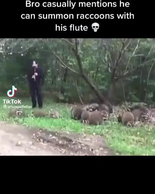 Bro casually mentions he can summon raccoons with his flute iFunny