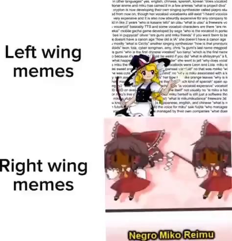 Left wing memes Right wing memes Negra Reimu) - iFunny