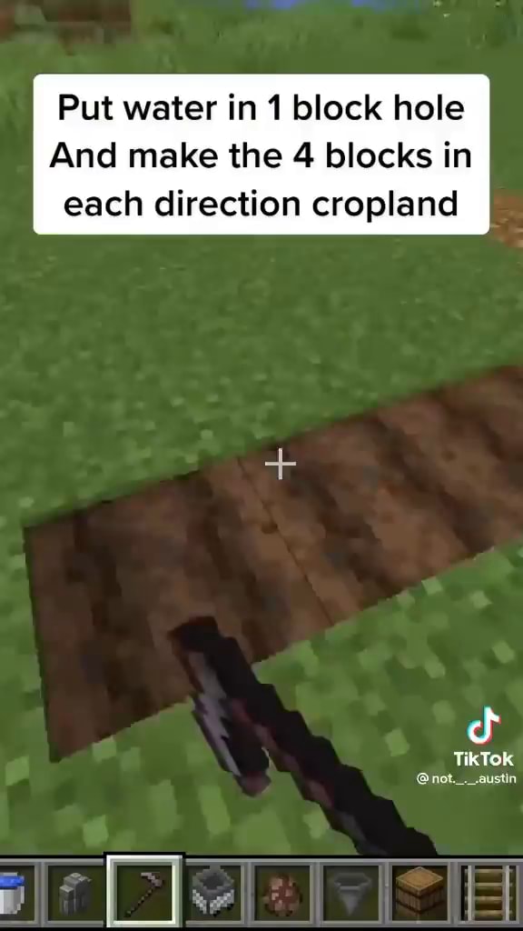Put water in 1 block hole And make the 4 blocks in each direction cropland TikTok not