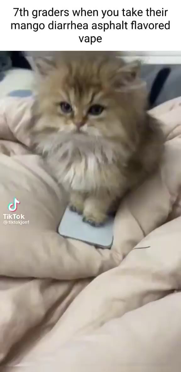 Graders when you take their mango diarrhea asphalt flavored vape TikTok