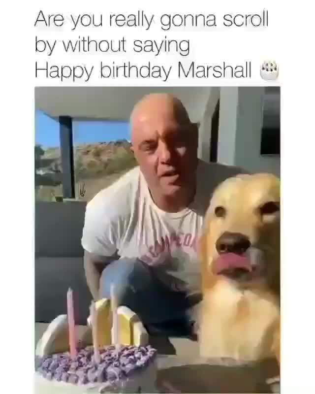 Are you really gonna scroll by without saying Happy birthday Marshall ...