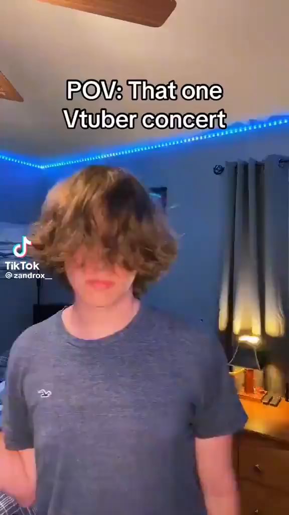 POV: That one Vtuber concert TikTok - iFunny