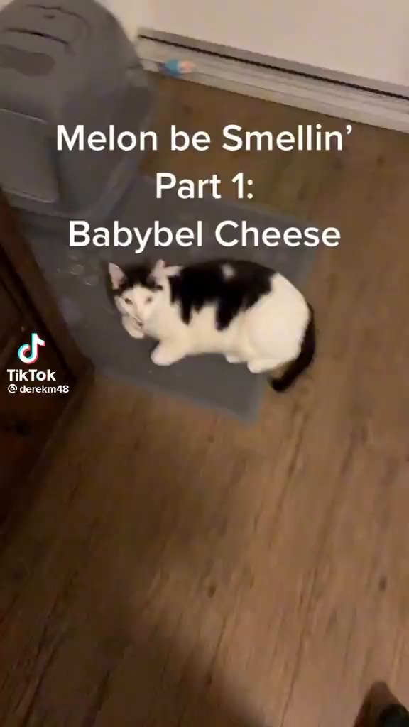 Melon be Smellin' Part 1 Babybel Cheese TikTok Bidder iFunny