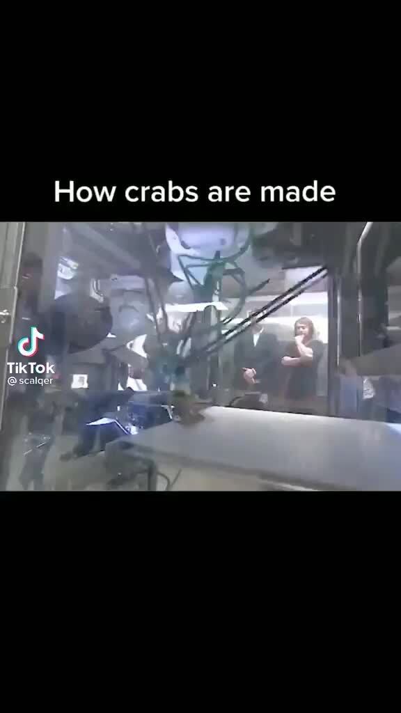 How crabs are made TikTok iFunny