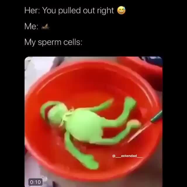 her-you-pulled-out-right-me-4-my-sperm-cells-ifunny