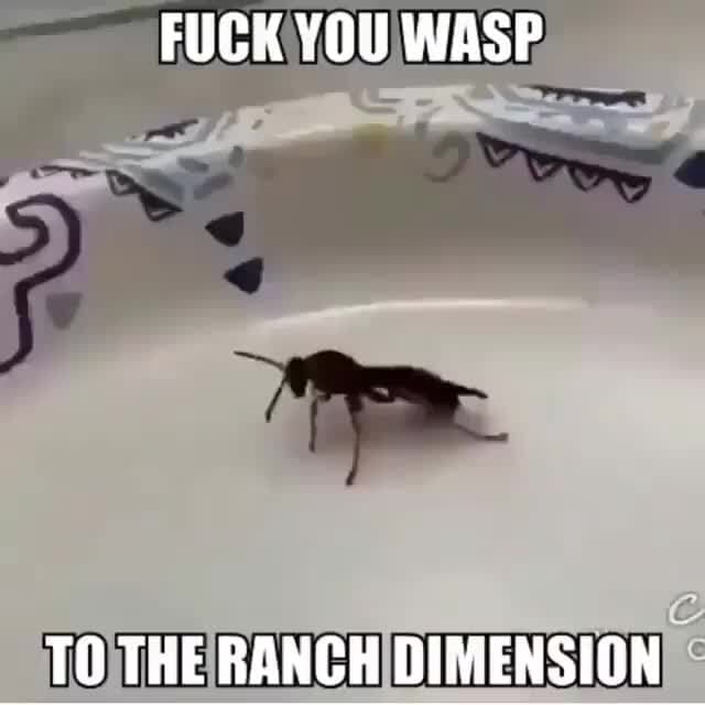 The Ranch Wasp FUCK YOU WASP TO THE RANCH DIMENSION - iFunny