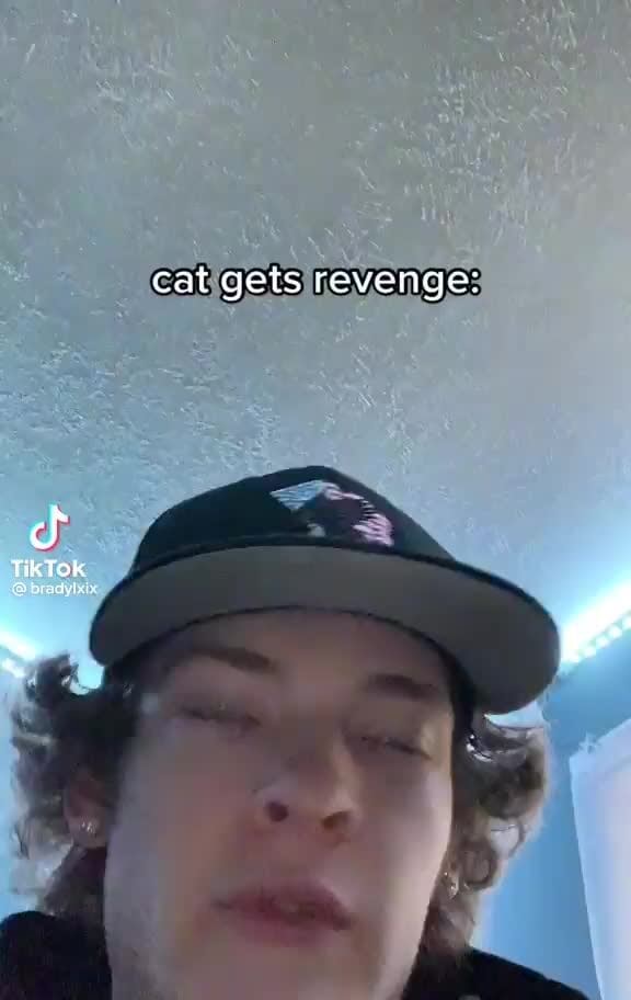 Cats be vengeful cat gets revenge URTOR iFunny