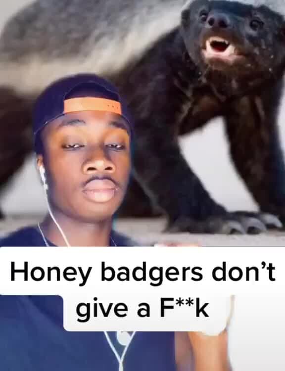 Honey Badger Facts Honey badgers don't iFunny