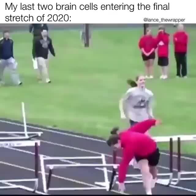 My last two brain cells entering the final stretch of 2020: - iFunny