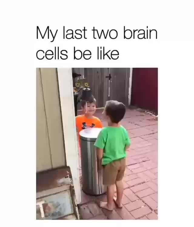 My last two brain cells be like - iFunny