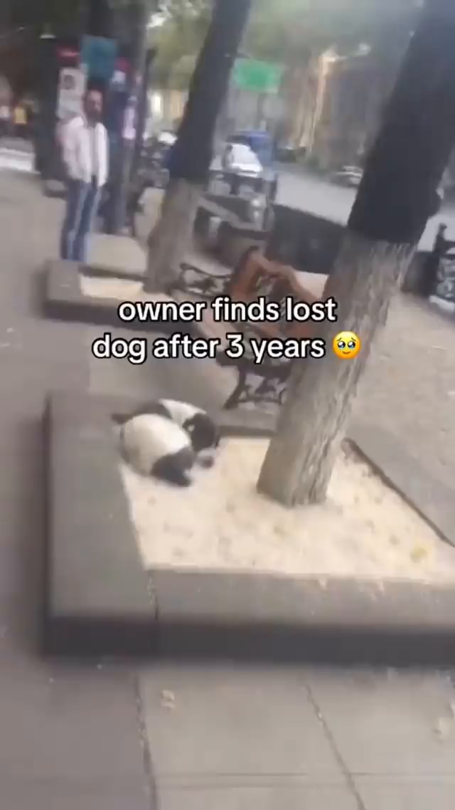 Owner finds lost dog after 3 years ~ - iFunny