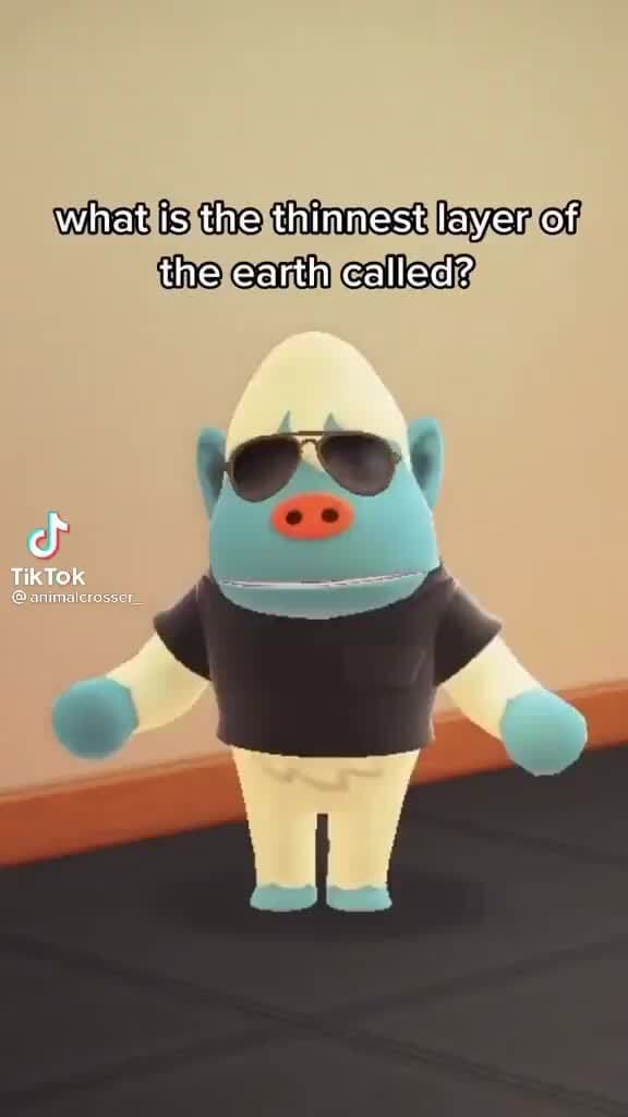 What is the thinnest layer of the earth called? cf TikTok iFunny