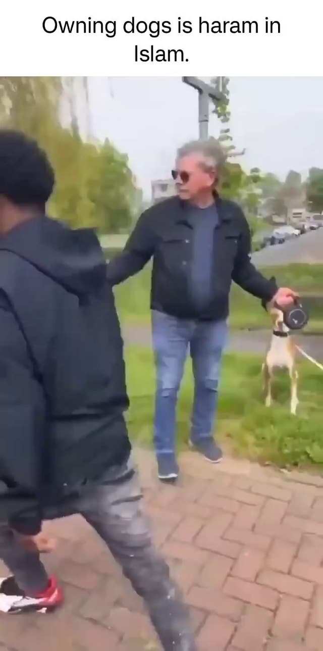 Owning dogs is haram in Islam. iFunny