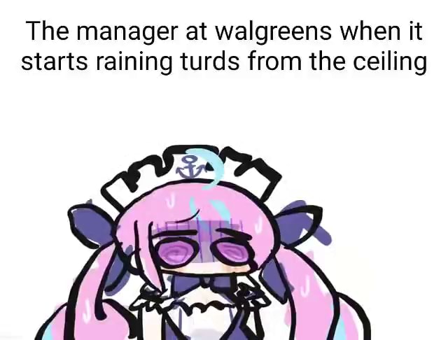 The Manager At Walgreens When It Starts Raining Turds From The Ceiling 