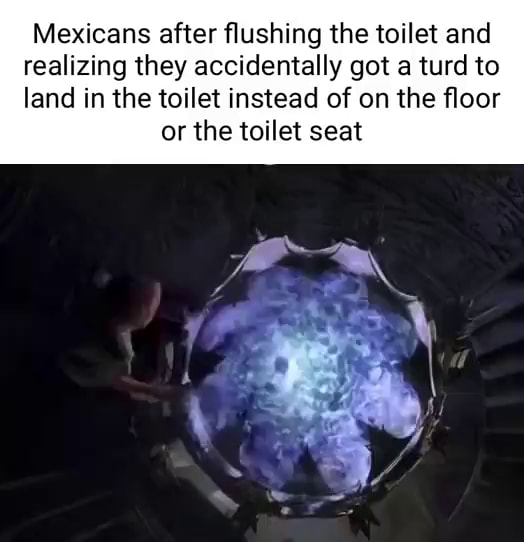 Mexicans after flushing the toilet and realizing they accidentally got