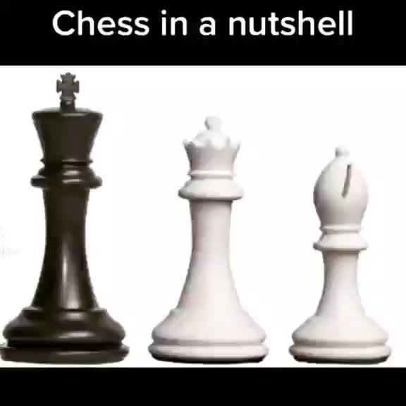 Chess in a nutshell - iFunny