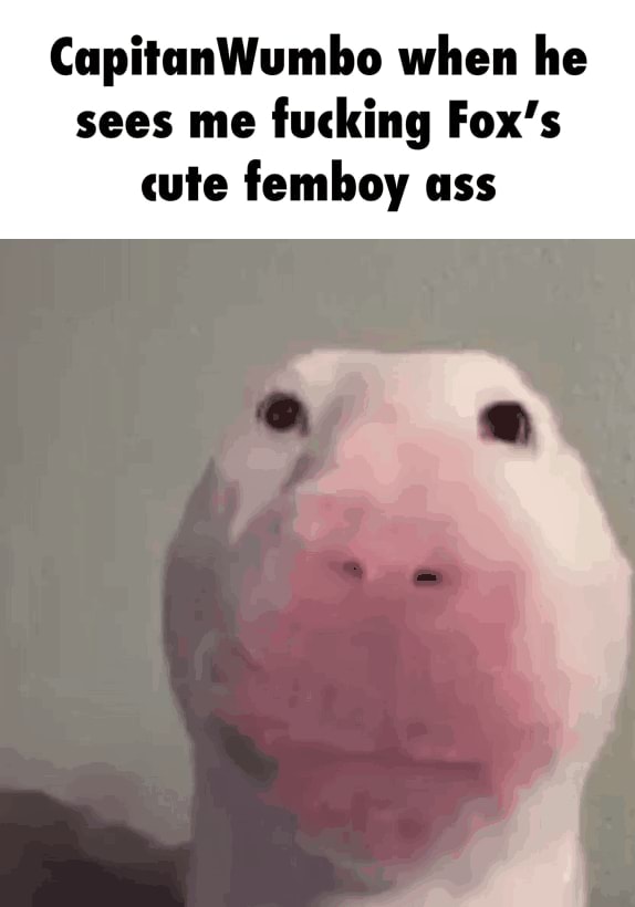 Ass cute femboy Femboy Porn